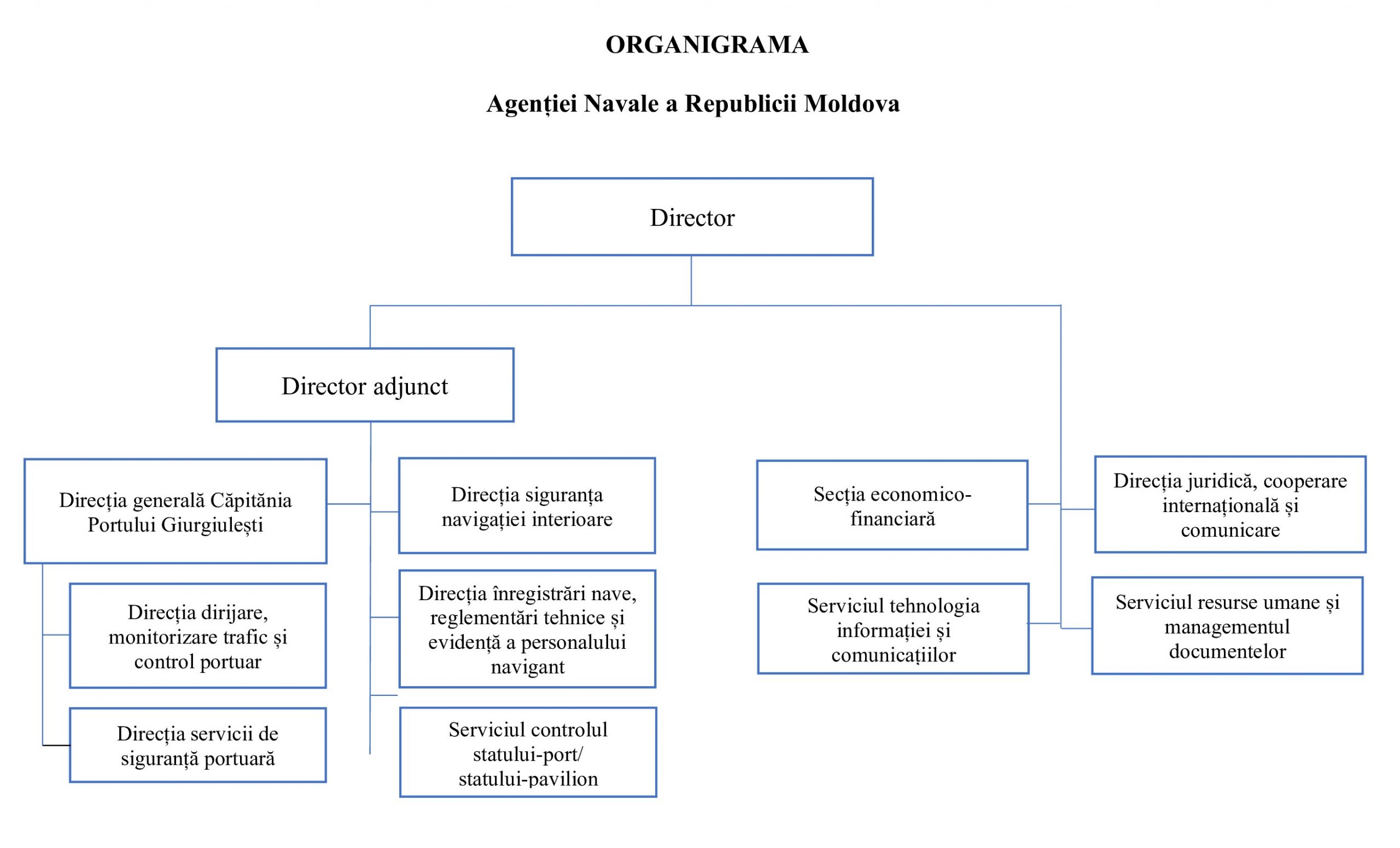 organigrama